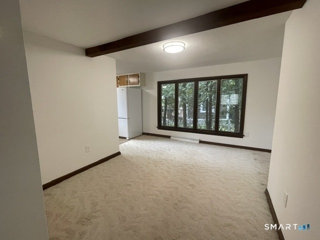 10 Bluff Rd W - Photo 9