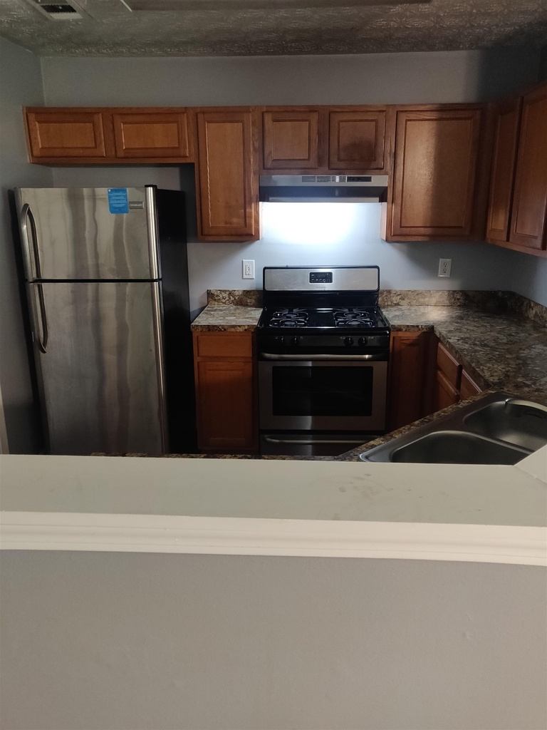 679 Shadow Lakes Drive - Photo 2
