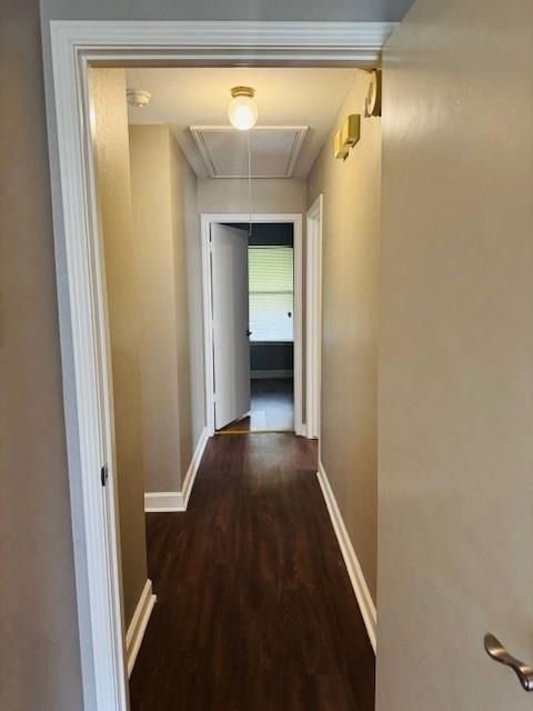 4722 Fallon Place - Photo 9