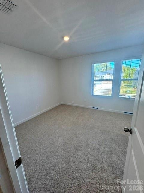 9033 Foggy Brook Loop - Photo 13