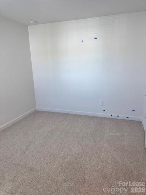 9033 Foggy Brook Loop - Photo 12