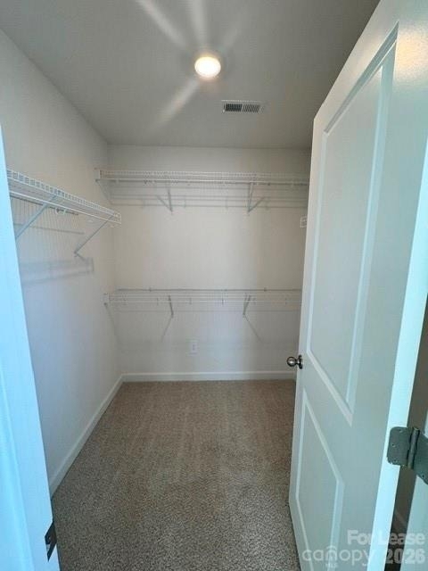 9033 Foggy Brook Loop - Photo 16