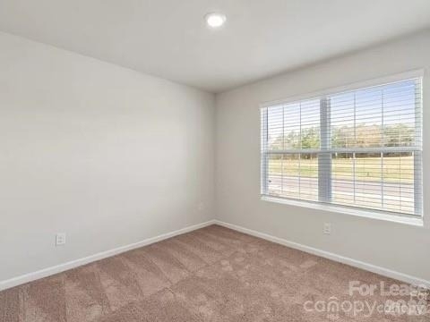 1637 Nia Road - Photo 12
