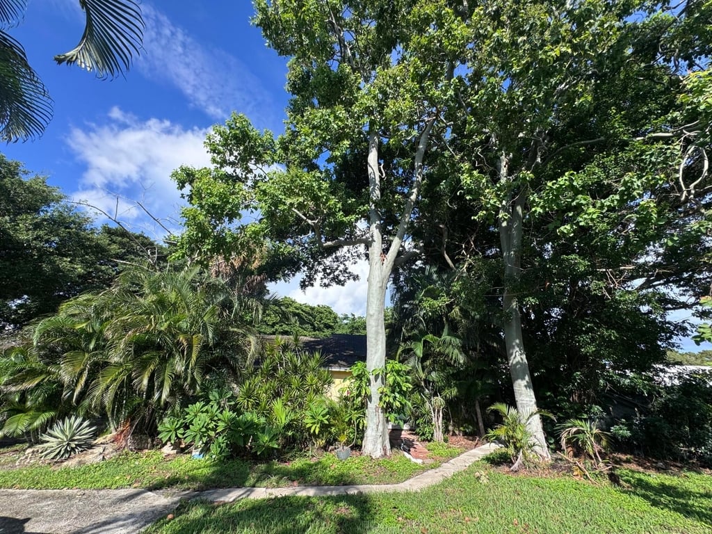 8975 Burma Road - Photo 26