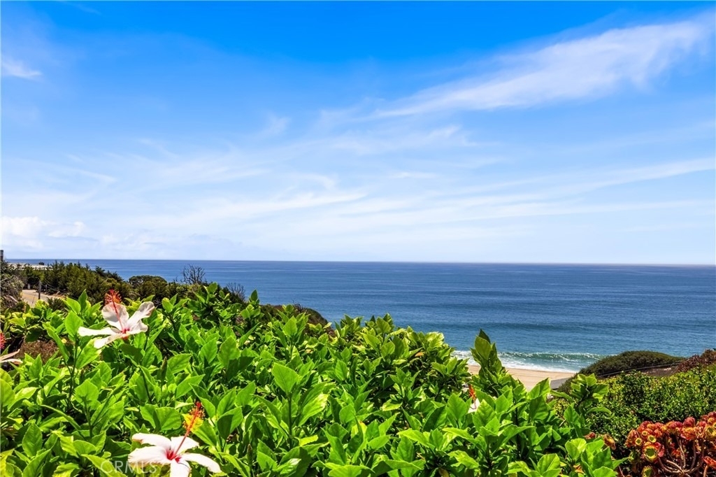6824 Las Olas - Photo 2