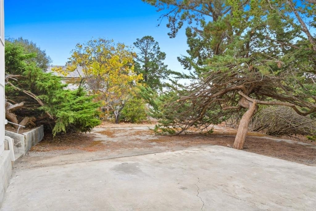 1061 Parrott Drive - Photo 14