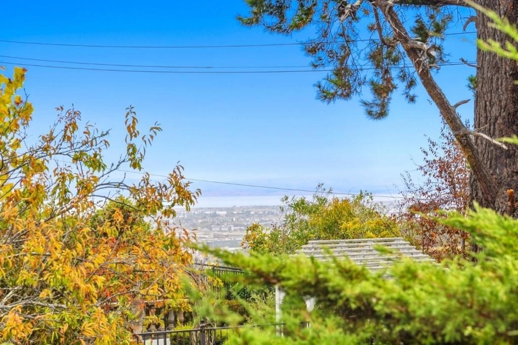 1061 Parrott Drive - Photo 4