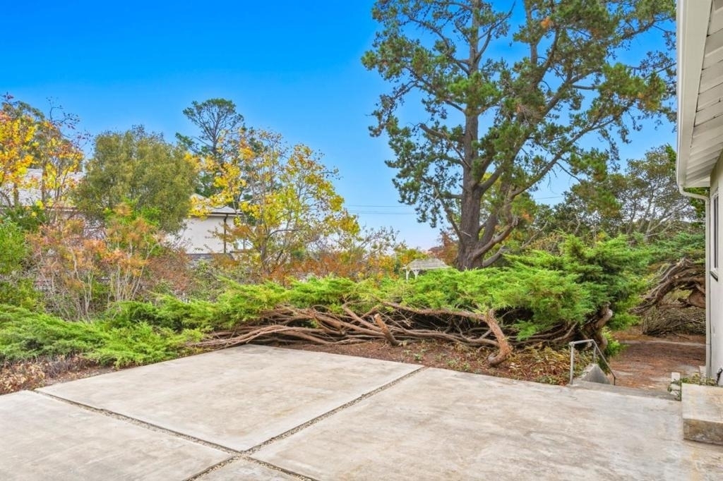1061 Parrott Drive - Photo 9