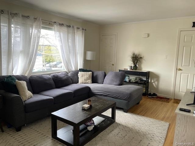 176 Nassau Boulevard - Photo 4
