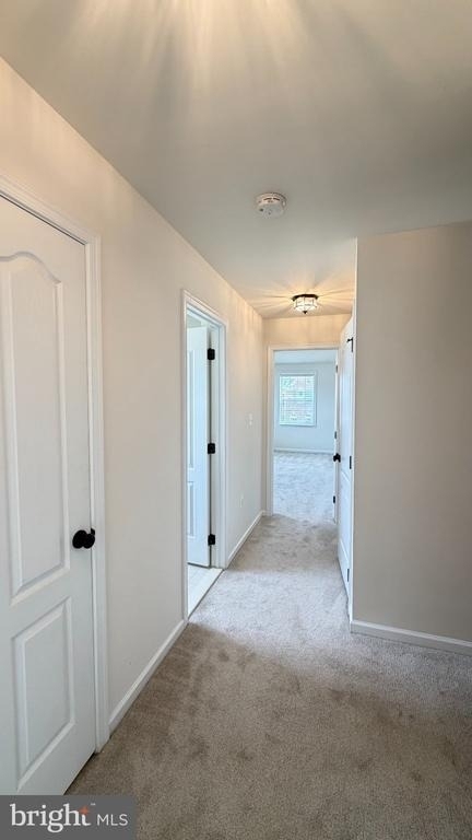 43196 Whelplehill Terrace - Photo 9