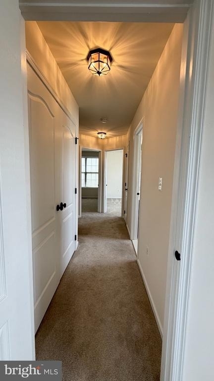 43196 Whelplehill Terrace - Photo 36