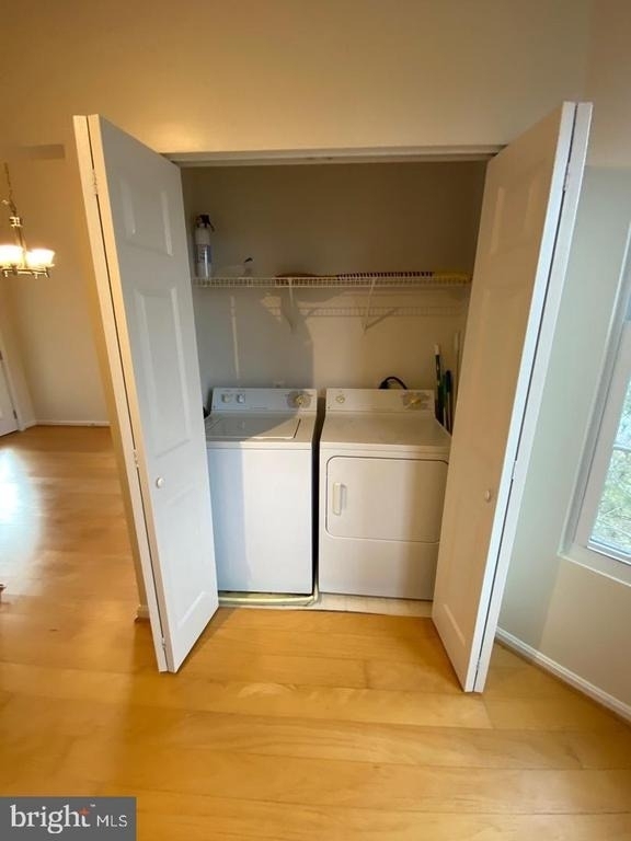 20445 Chesapeake Square - Photo 11