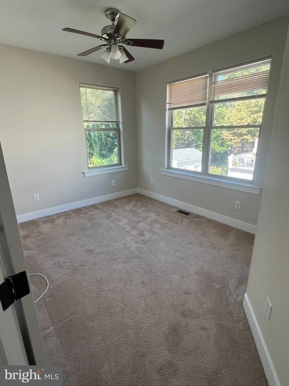244 Krams Avenue - Photo 21