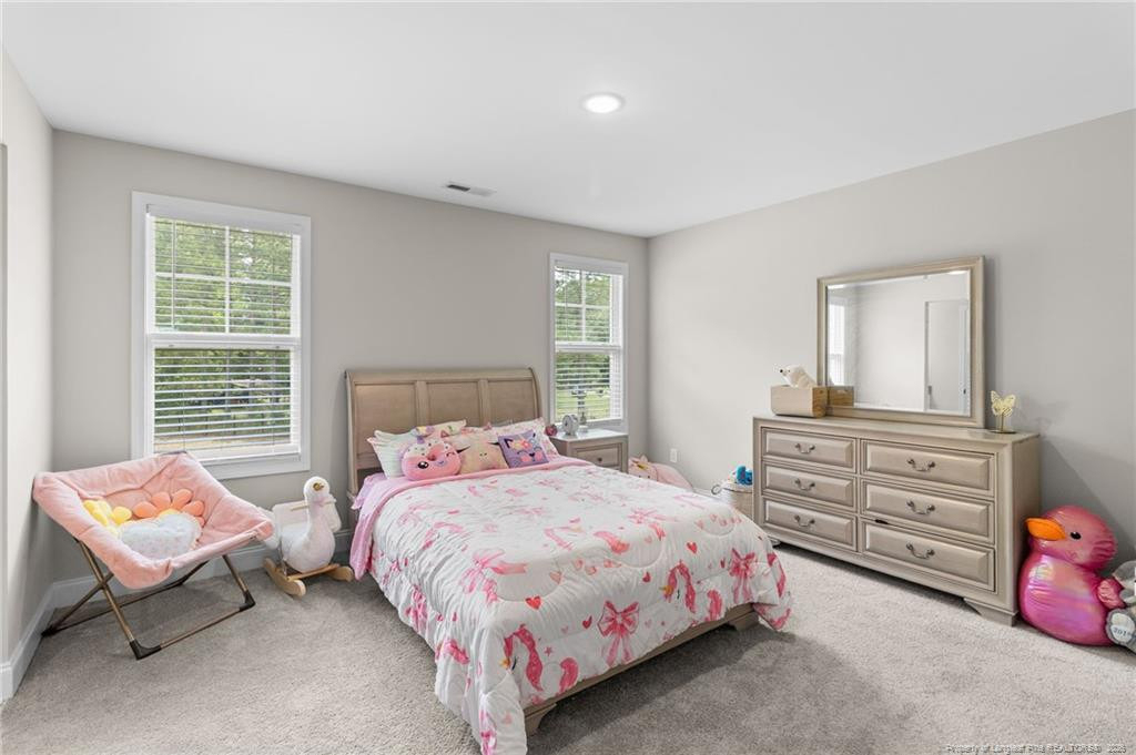 5834 James Allen Lane - Photo 33