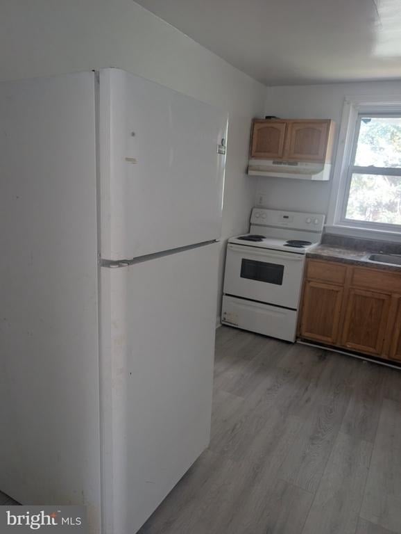 506 Pfeiffer Street - Photo 3