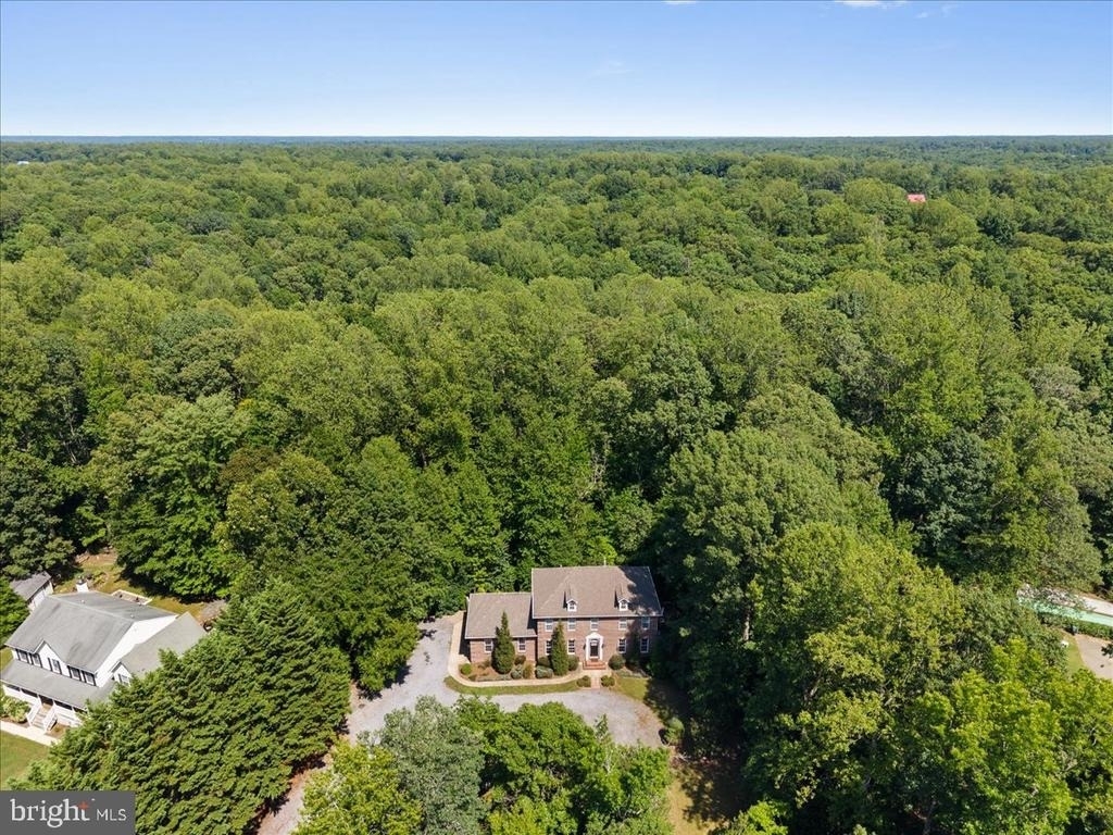 28920 Livingston Drive - Photo 46