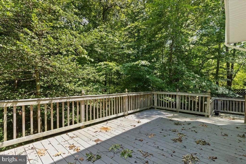 28920 Livingston Drive - Photo 16