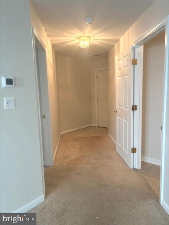 2508 Shelley Circle - Photo 3