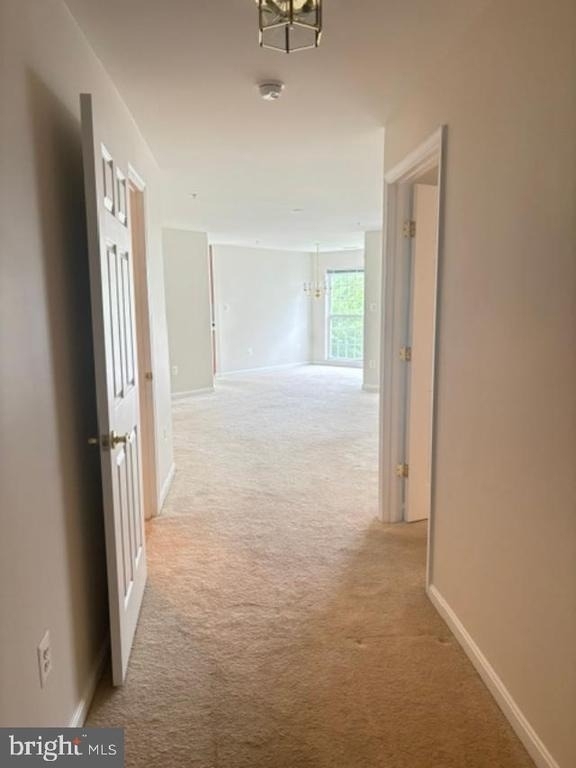 2508 Shelley Circle - Photo 4