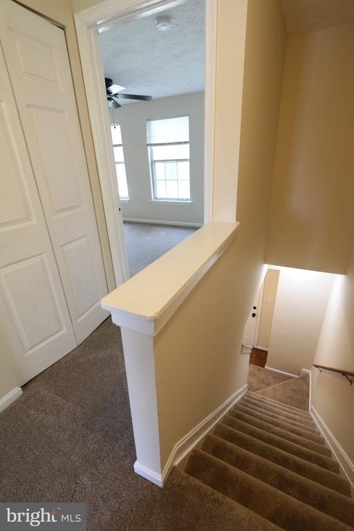 2086 Tanglewood Drive - Photo 10