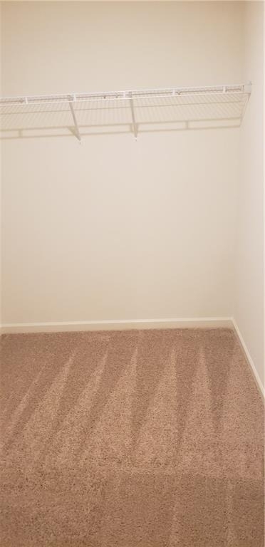 3063 Tarian Way - Photo 10