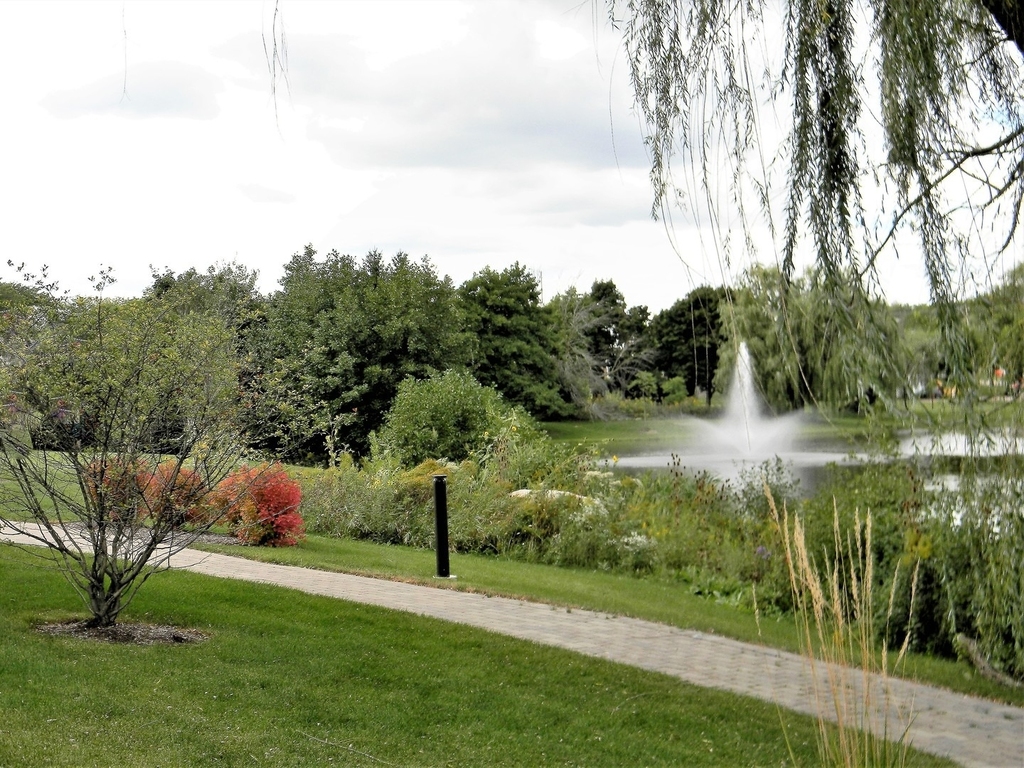 670 E Algonquin Road - Photo 27