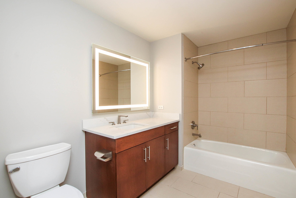 850 N Lake Shore Drive - Photo 14