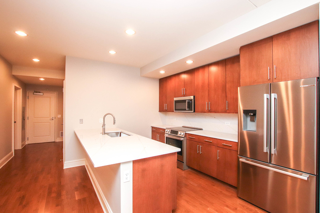 850 N Lake Shore Drive - Photo 3