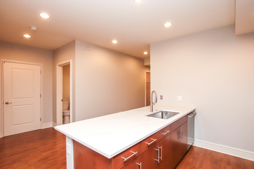 850 N Lake Shore Drive - Photo 4
