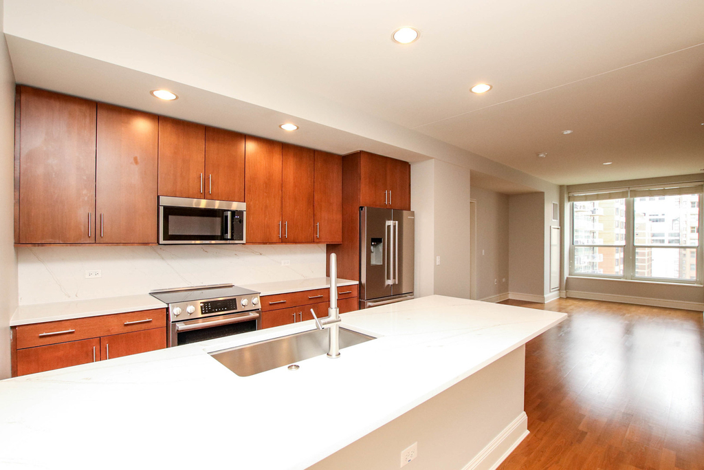 850 N Lake Shore Drive - Photo 1