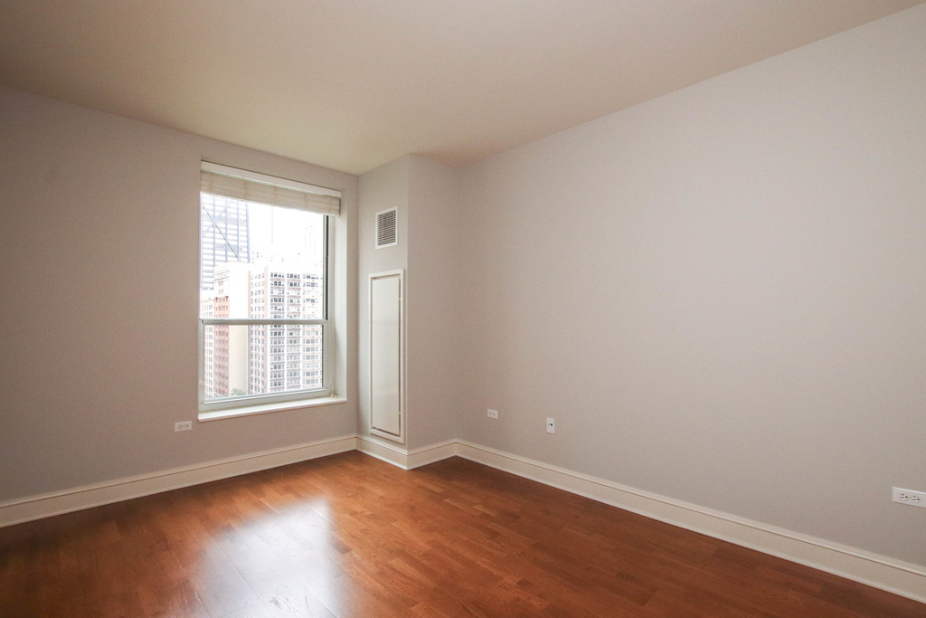 850 N Lake Shore Drive - Photo 12