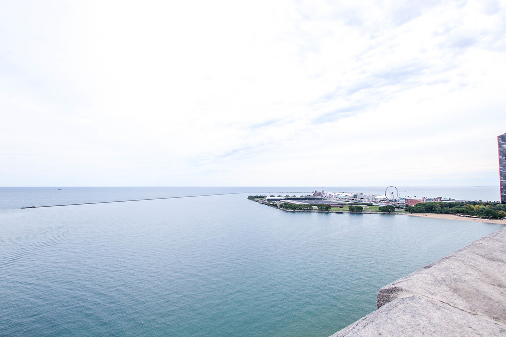 850 N Lake Shore Drive - Photo 19
