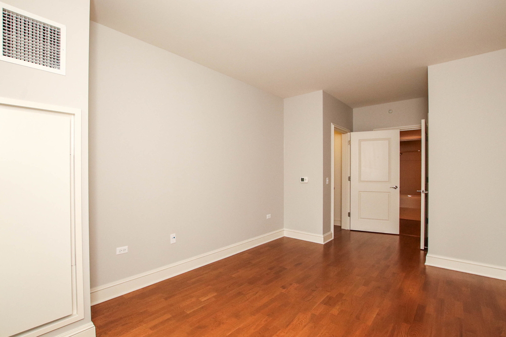 850 N Lake Shore Drive - Photo 13