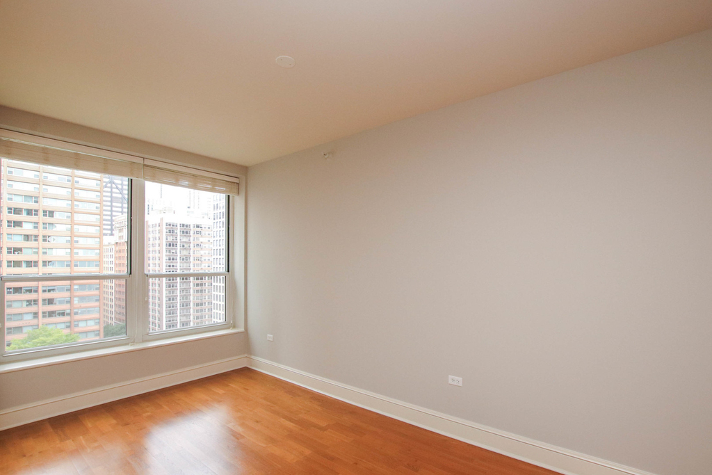 850 N Lake Shore Drive - Photo 6