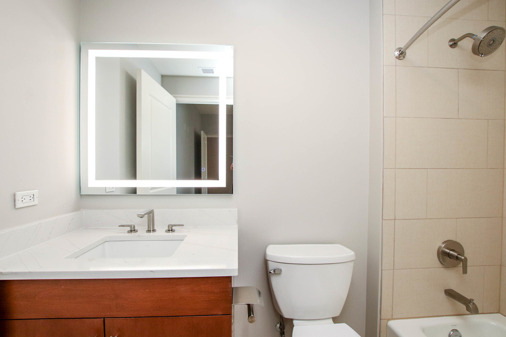 850 N Lake Shore Drive - Photo 9
