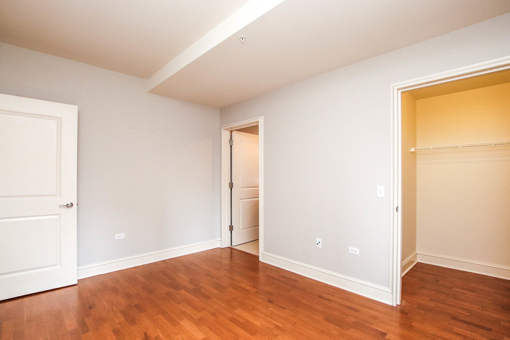 850 N Lake Shore Drive - Photo 11