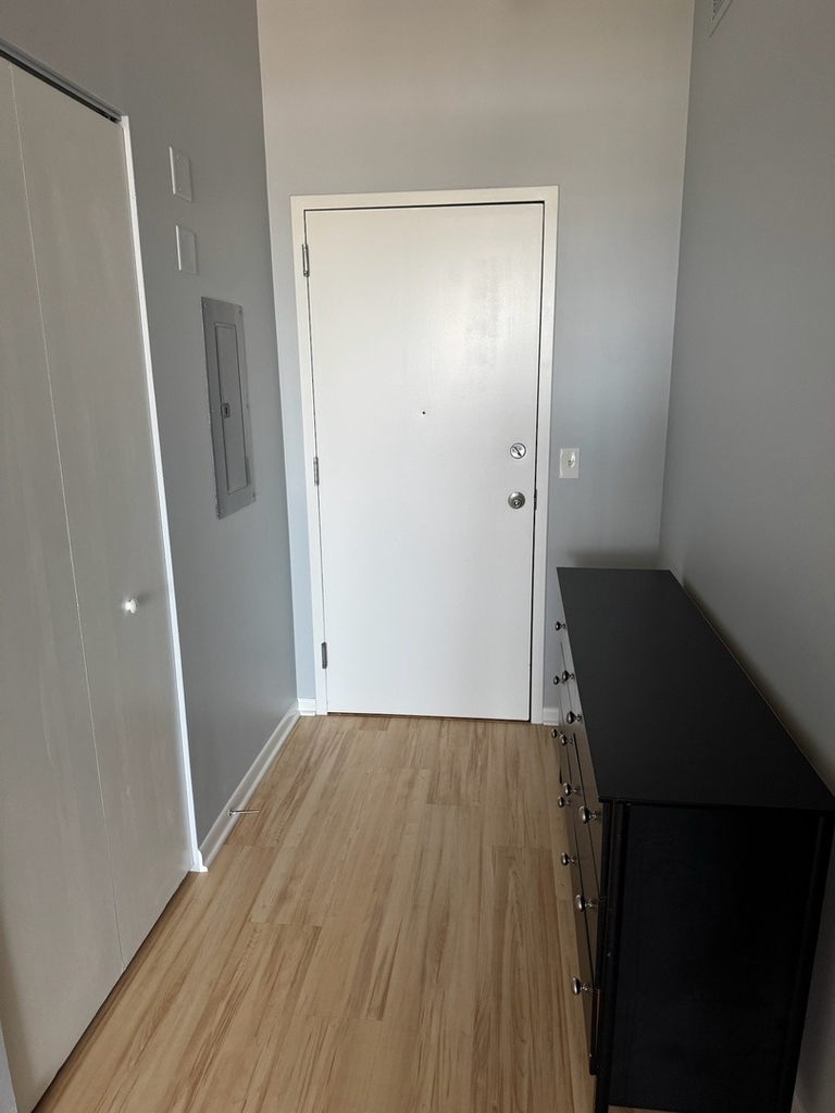 1550 S Blue Island Avenue - Photo 12