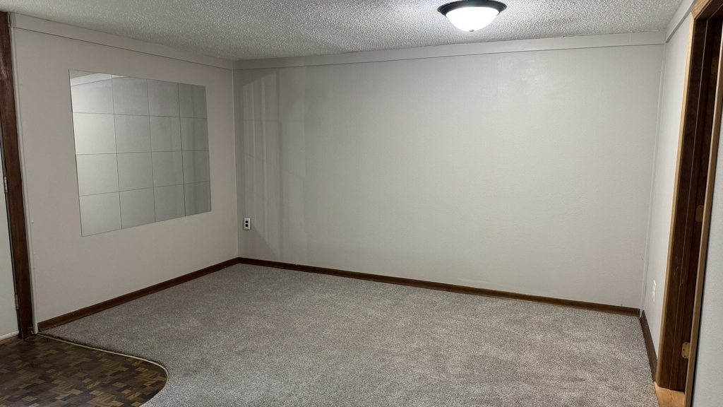1331 Spruce Hills Drive - Photo 17