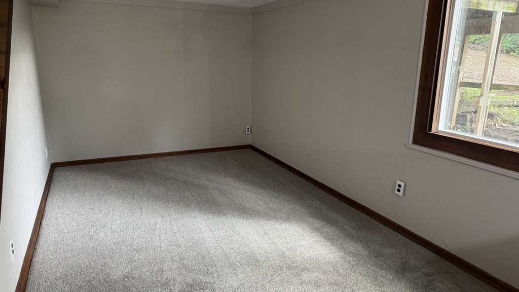 1331 Spruce Hills Drive - Photo 14