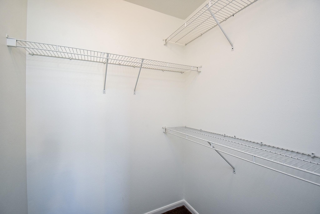 20802 Oak Rain Court - Photo 12