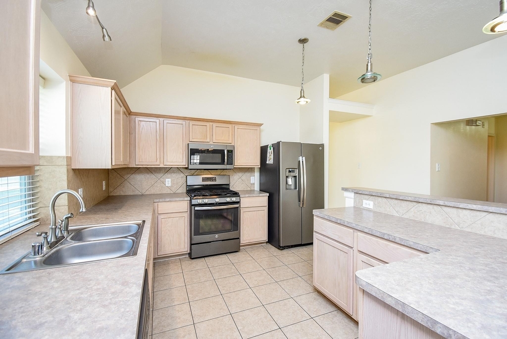20802 Oak Rain Court - Photo 4