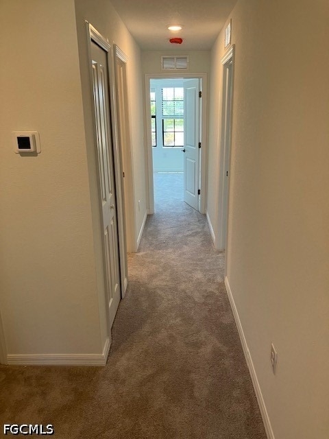 14316 Oviedo Place - Photo 12