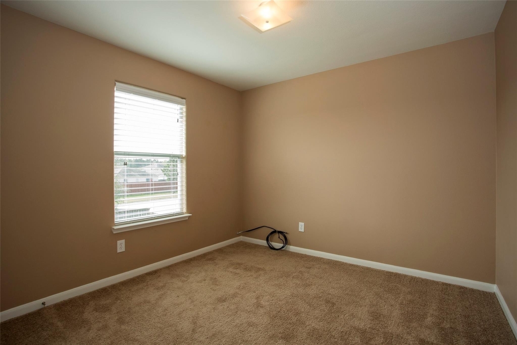 4302 Pecos River Drive - Photo 10