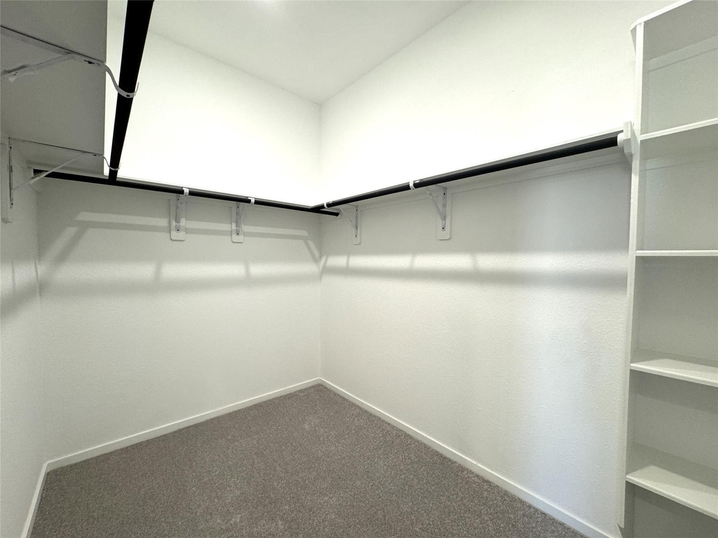 26606 Foxtail Fern Dr - Photo 18