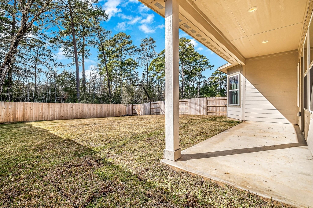 17925 Canopy Trace Court - Photo 5