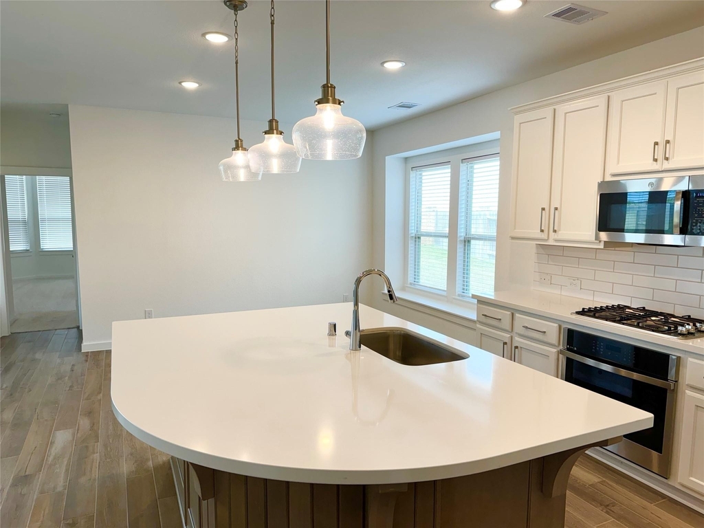 13125 Cobalt Cove Court - Photo 3