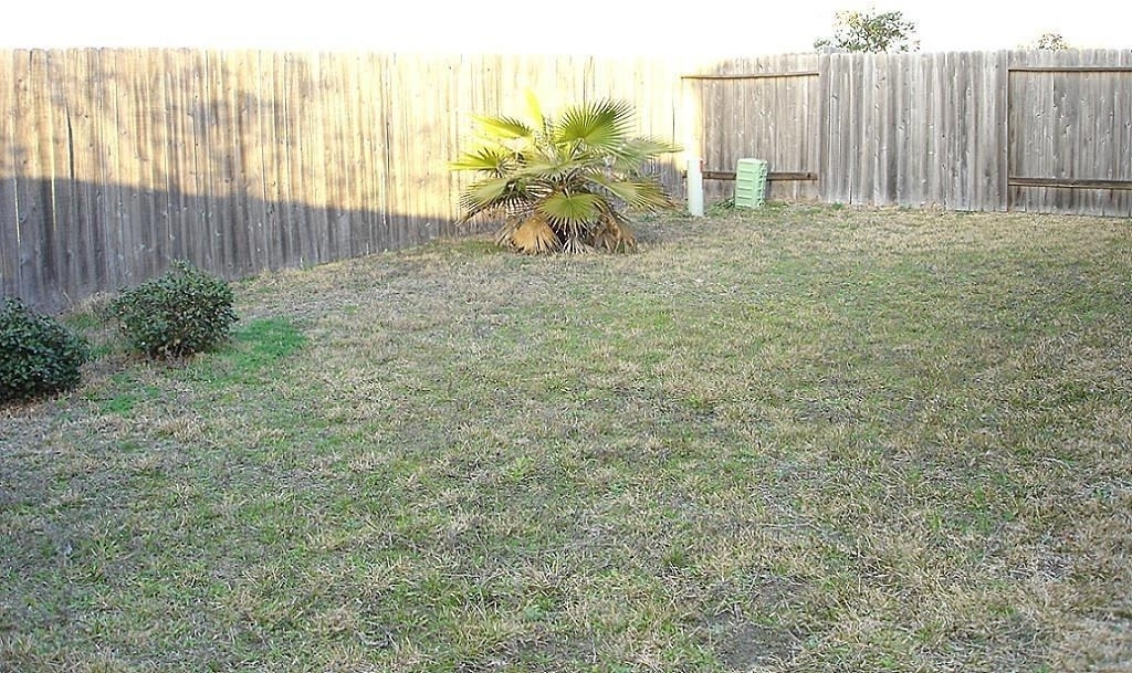 22118 Guston Hall Lane - Photo 17