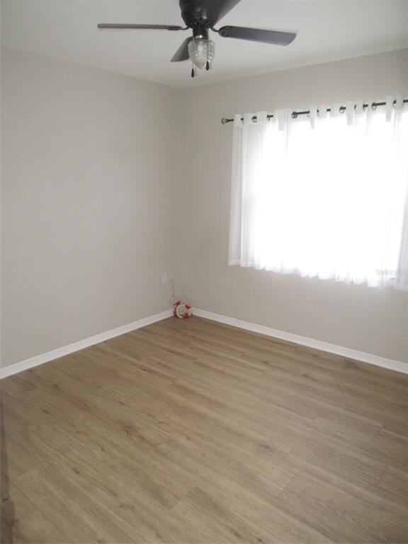 24 Allworthy Street - Photo 9