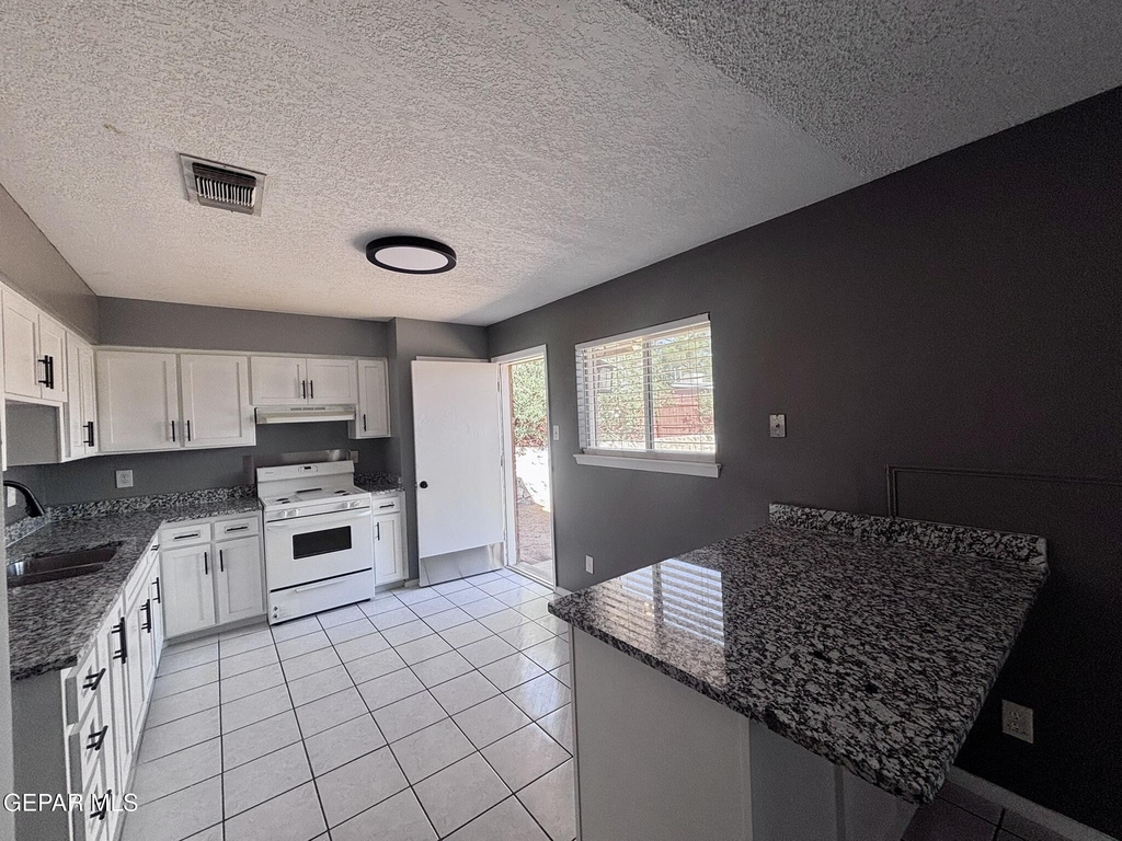 11137 Pink Coral Drive - Photo 6