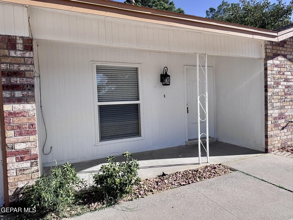 11137 Pink Coral Drive - Photo 1